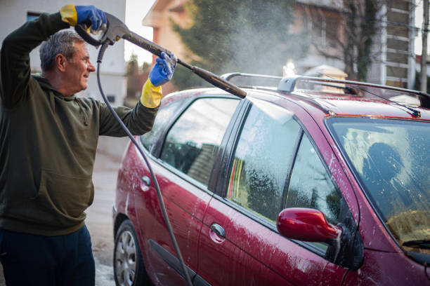 Best House Pressure Washing  in Wtell, LA